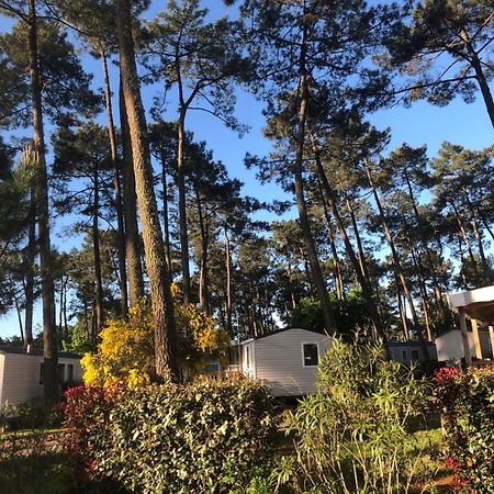 Mobile Home - Les Dunes De Contis Saint-Julien-en-Born Εξωτερικό φωτογραφία
